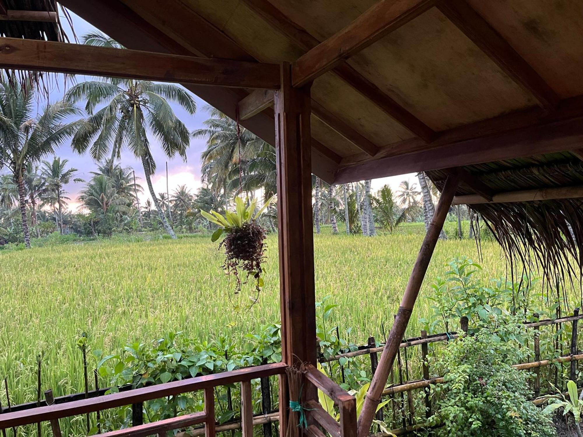 Syaqila Homestay Lombok Тетебату Екстер'єр фото