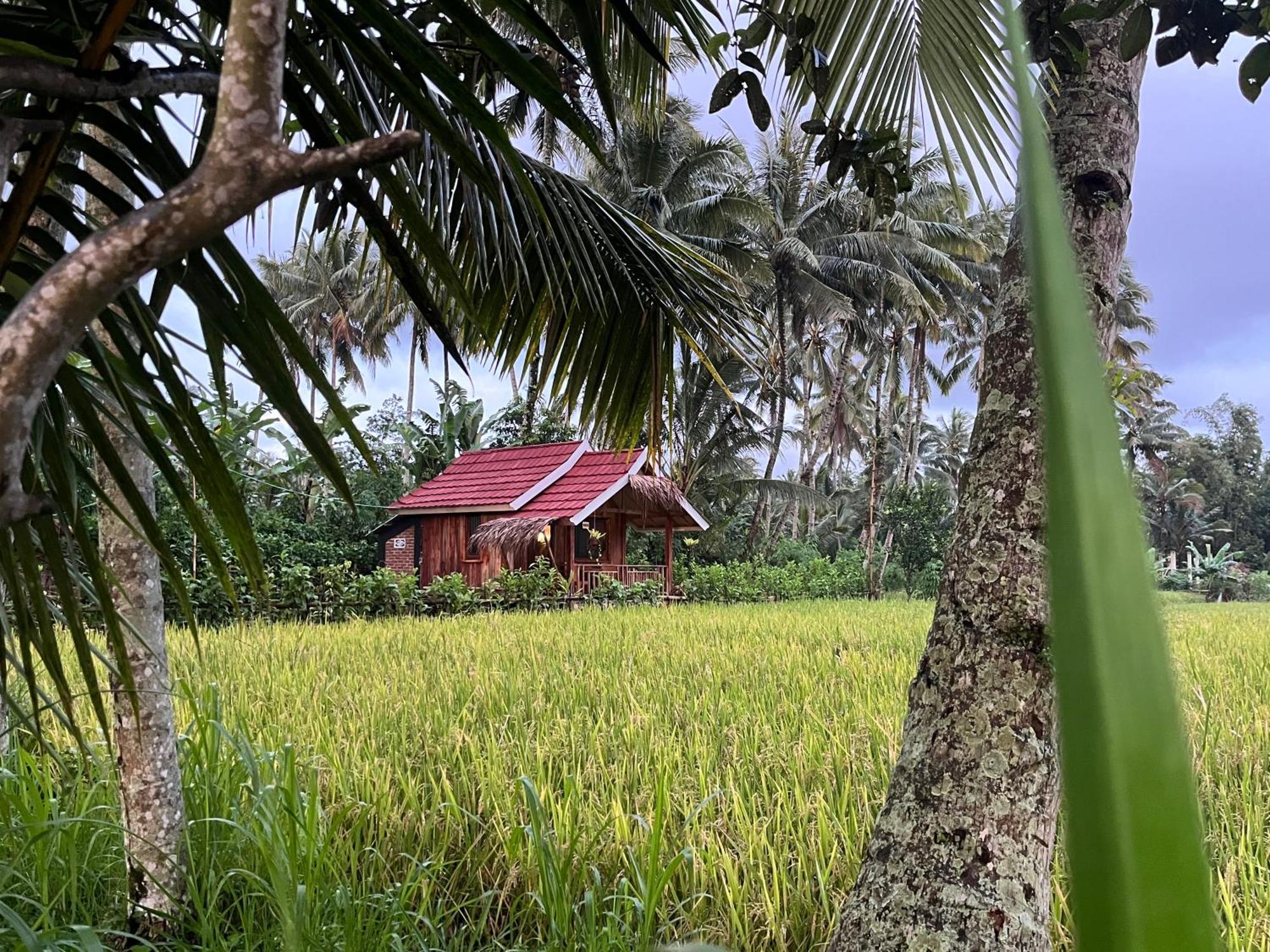 Syaqila Homestay Lombok Тетебату Екстер'єр фото