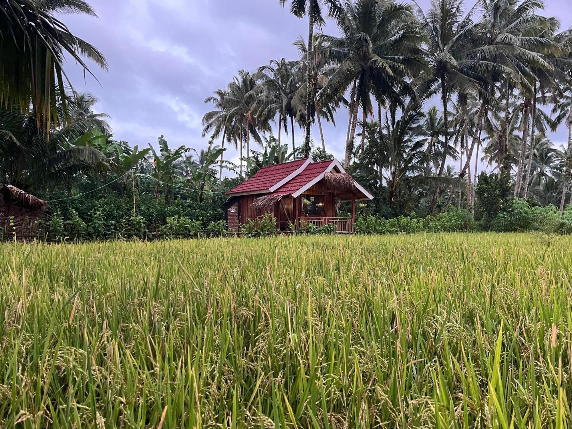 Syaqila Homestay Lombok Тетебату Екстер'єр фото